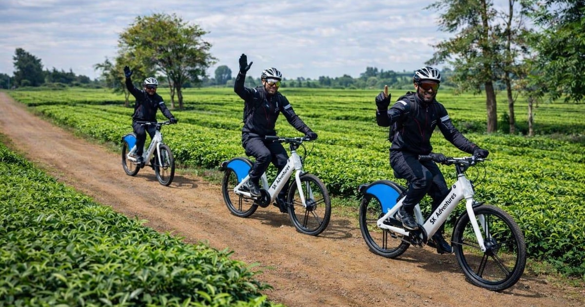 Limuru: E-Bike Ride Through Tea Plantations | GetYourGuide