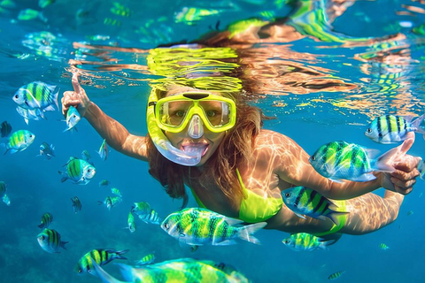 Pattaya Koh Lan Tour｜Hotel Pickup, Snorkel & After-Sun Spa Hotel Pickup + Ultimate Water Adventure (Includes Spa)