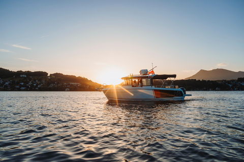 Lake Lucerne: Private Luxury Boat Cruise