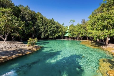 Krabi: Private Emerald Pool, Hot Spring & Tiger Cave Tour - Image 2
