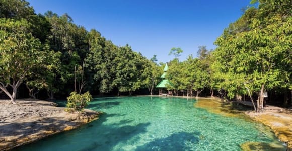 Krabi: Private Emerald Pool, Hot Spring & Tiger Cave Tour