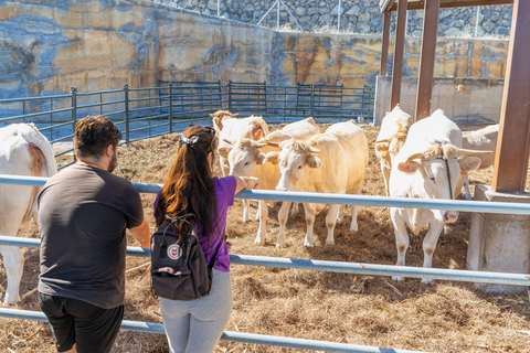 Guided visit to Ecofinca Nogales with organic food tasting