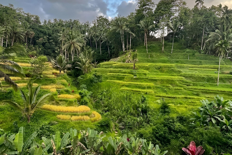 Bali: Purifying Cleansing Melukat & Spiritual Tour