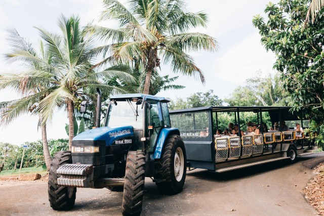 Visit Gold Coast Tropical Fruit World Tractor Train Tour in Gold Coast