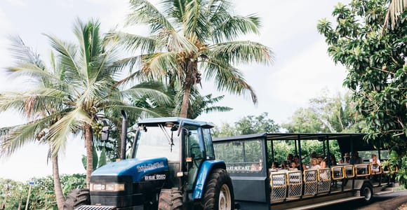 Gold Coast: Tropical Fruit World Full Farm Tour & Cruise