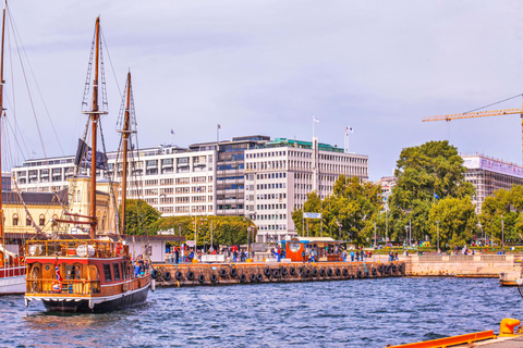 Oslo: Fjord Minicruise per Houten Zeilschip