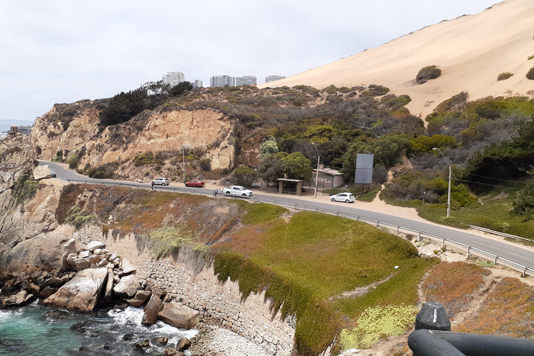 比尼亚德尔马、雷尼亚卡和康康之旅