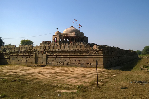 Abhaneri Trip mit Affentempel am selben Tag von Jaipur ausTour mit Auto & Fahrer