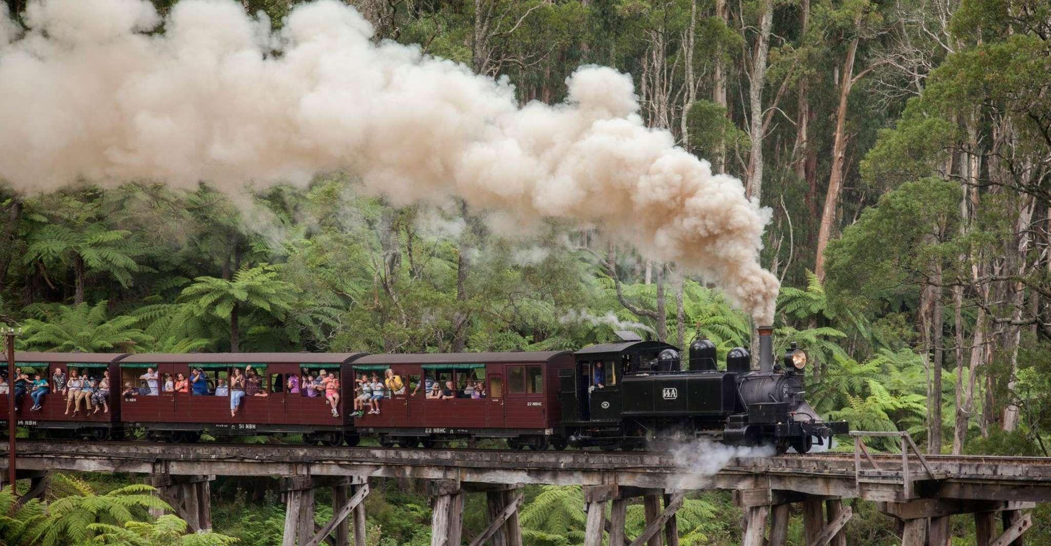 Melbourne: Half-Day Puffing Billy Steam Train Experience photo 6