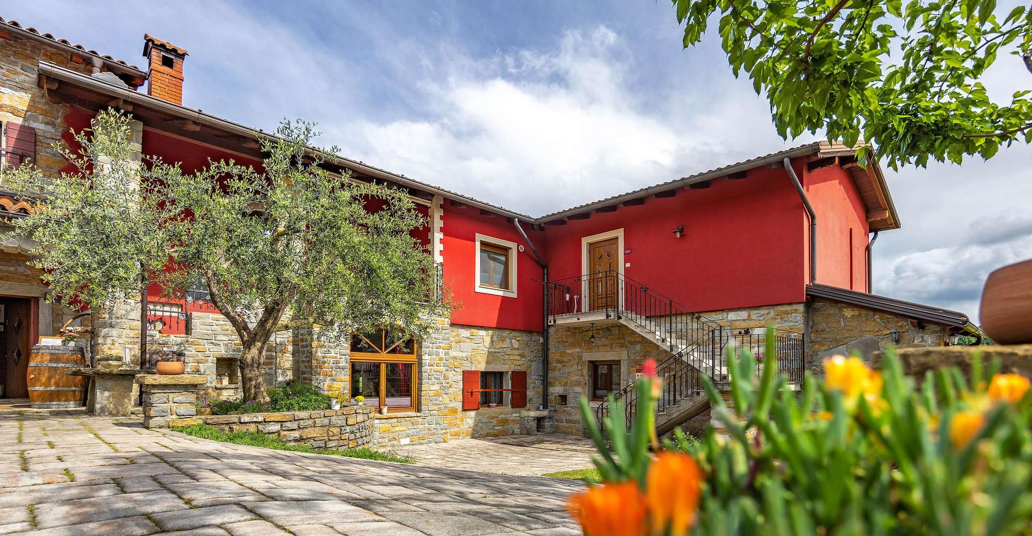 Probieren Sie Olivenöl, Aromen & Aufstriche aus Oliven - Hizvo