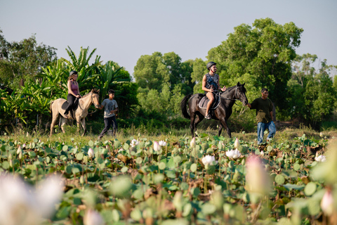 Siem Reap: Horseback Ride with Tour Guide at Phnom Krom (1 hour) Horseback Ride with Tour Guide