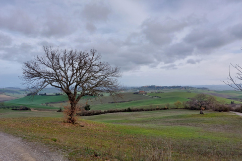 San Miniato: e-bike langzame tour (truffelheuvels)