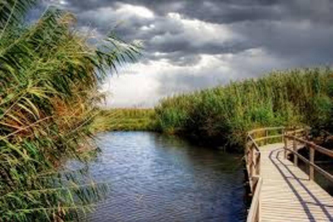 Amman: Azraq Wetland+ Lawrence Fortress + Druze Family Lunch