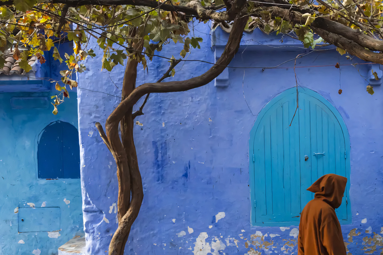 From Tangier: Chefchaouen "Blue Pearl" Guided Day Trip
