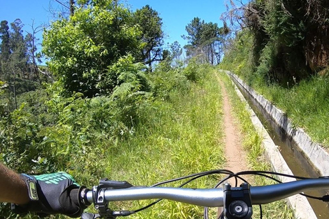 Madeira - Mountain Biking Tour