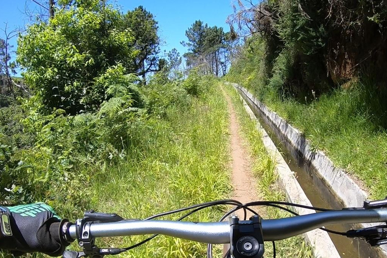 Madeira - Mountain Biking Tour