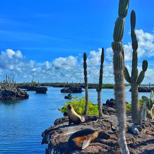 Explora Túneles Cabo Rosa en Isabela: Heldag med snorkling | GetYourGuide
