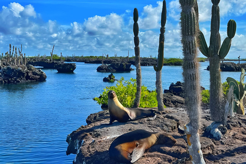 Explora Túneles Cabo Rosa em Isabela: Dia inteiro com Snorkel