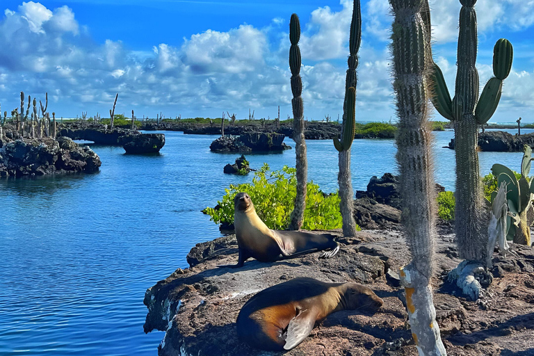 Explora Túneles Cabo Rosa en Isabela: Día Completo con Snorkel