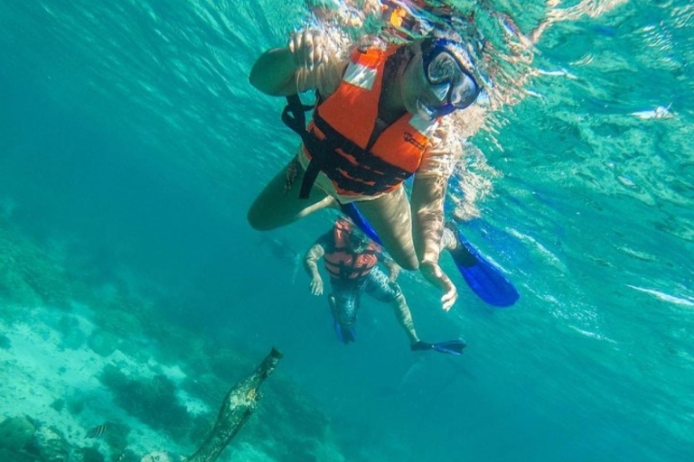 Cancun : Visite du cénote de Cancun et plongée en apnée