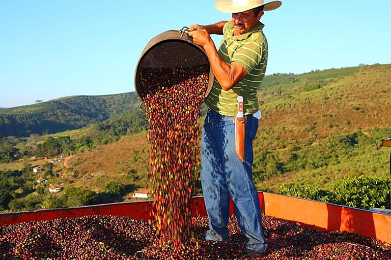 Rio de Janeiro: Coffee Farm Tour with Tasting