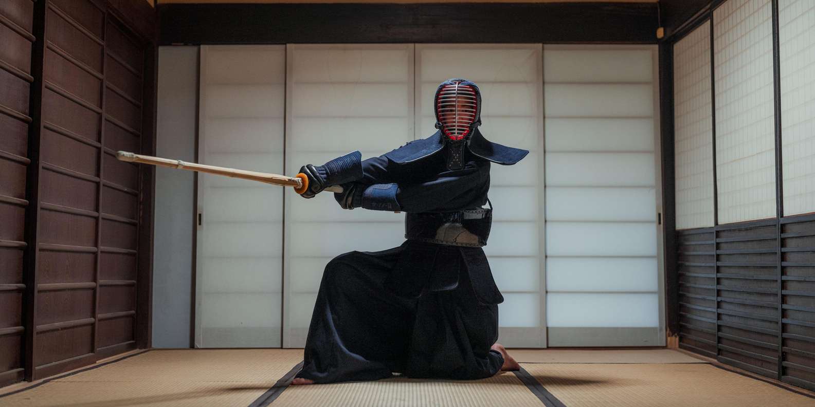 Kyoto experience — temples, geisha, bamboo grove — image 26