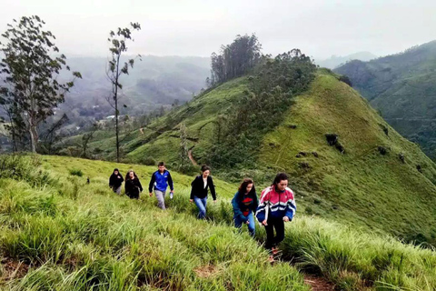 From Kochi:- 02 Days Munnar Hill Station & Nature Walk Tour 02 Days Munnar and Nature Walk Tour with 05- Star Hotel