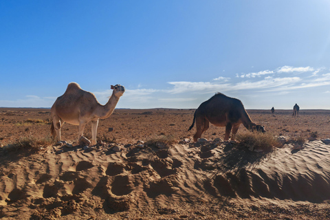 A day trip: Discover Tataouine,Chenini and Ksar Ghilene