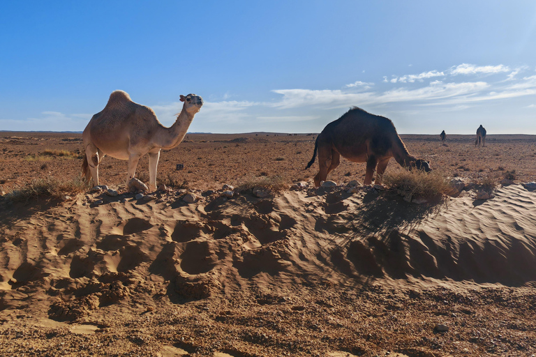 A day trip: Discover Tataouine,Chenini and Ksar Ghilene