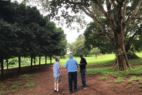 Ngamba Island Chimpanzee, Entebbe and Victoria Tour