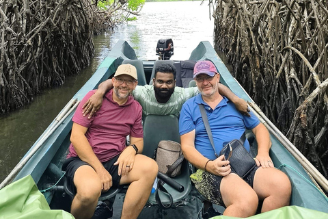 Desde Galle/Colombo:Safari por el río Madu y visita al criadero de tortugas