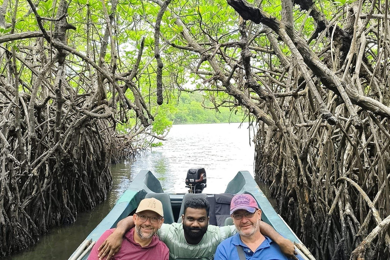 Z Galle/Colombo: Safari nad rzeką Madu i wizyta w wylęgarni żółwi