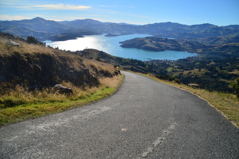 Christchurch: Excursión de un día a Akaroa y la península de Banks