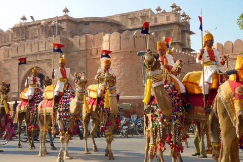 Jodhpur: Safari en camello y visita turística