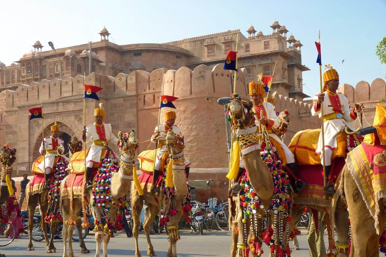 Jodhpur : Safari à dos de chameau et visite touristique