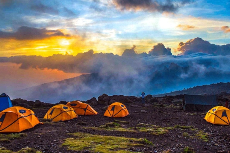 Kilimandżaro: 8-dniowa wędrówka szlakiem Machame z transferami lotniskowymi