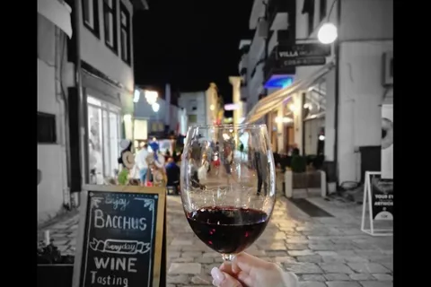 Private Wine Tasting Ohrid