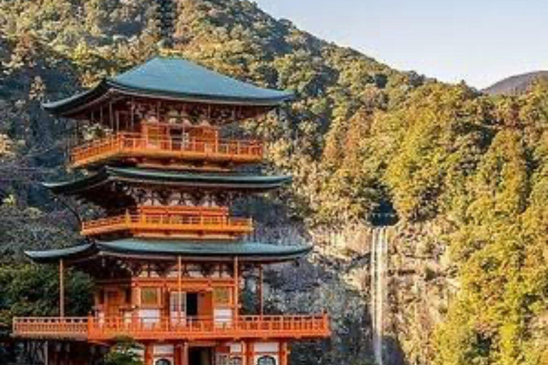 Tokyo: Guided City Tour with English guide