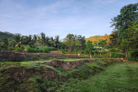 Les visites des champignons de Gili