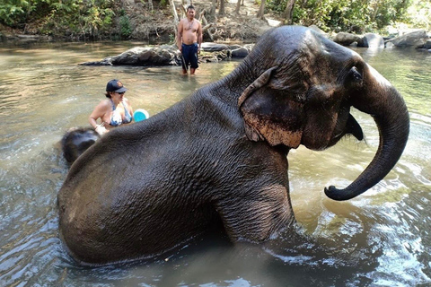 Chiang Mai: Ethisch olifantenopvangcentrum en ATV avontuur2 uur ATV- en heiligdombezoek met lunch en transfer