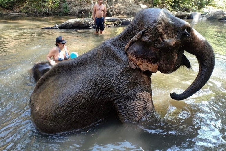 Chiang Mai: etyczne sanktuarium słoni i przygoda na quadzie1,5-godzinny rezerwat quadów i słoni z lunchem i transferem