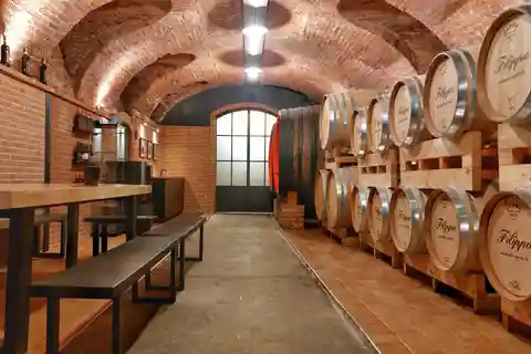 Langhe en Monferrato: Tour & wijnproeverij van Agliano wijnen