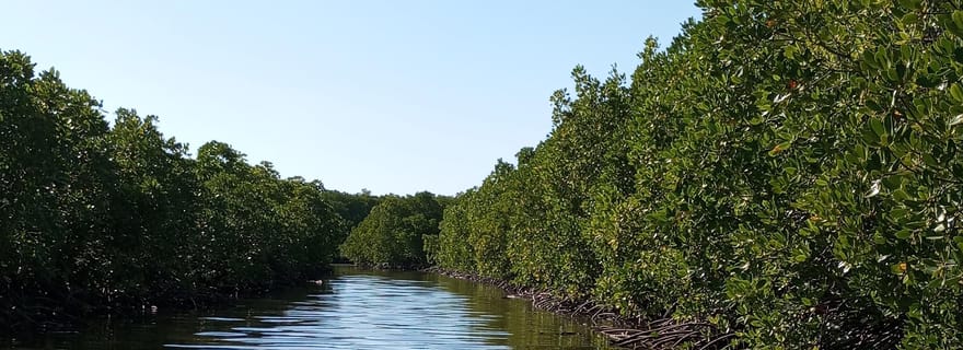 Expérience de plongée avec tuba à Gili, un lieu caché à Lombok - Excursion d'une journée