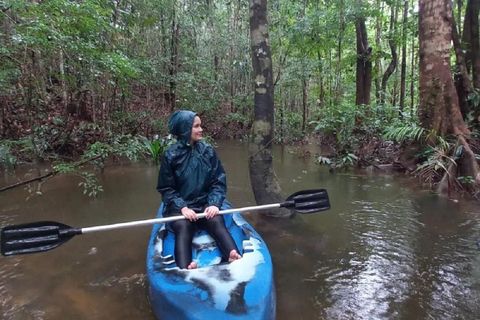 Manaus: Avontuur Boomklimmen