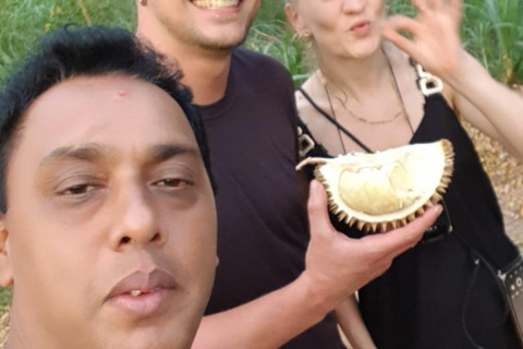 Sri Lanka: 10-Day Wildlife, Culture & Scenic Adventure