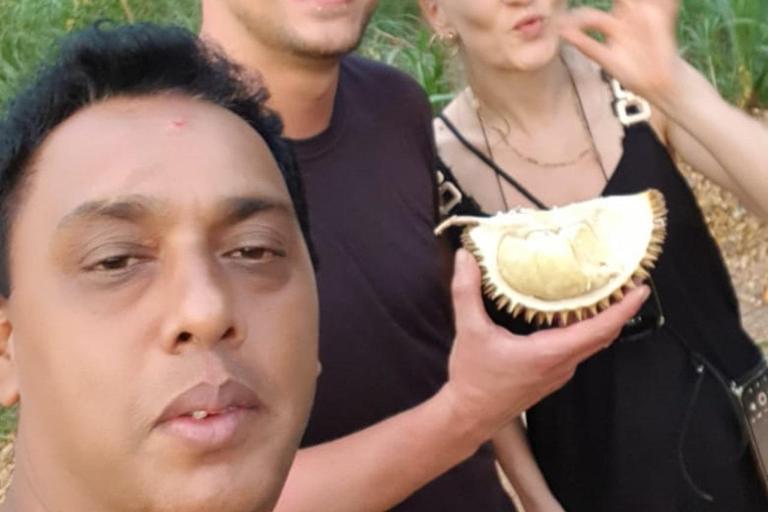 Sri Lanka: 10-Day Wildlife, Culture & Scenic Adventure