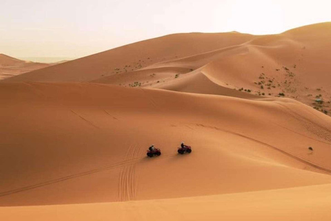 Vanuit Ica: Ica woestijn quad tour