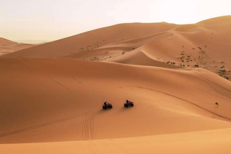 Da Ica: Tour in quad nel deserto di Ica