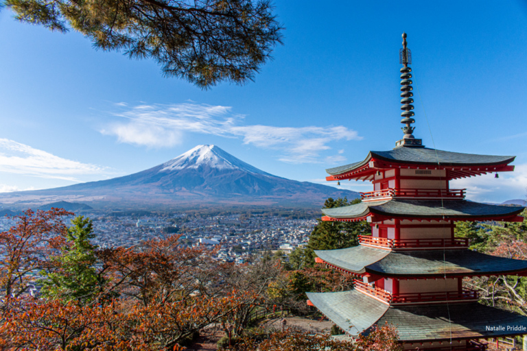 From Tokyo: Private Mount Fuji Day Trip with Driver