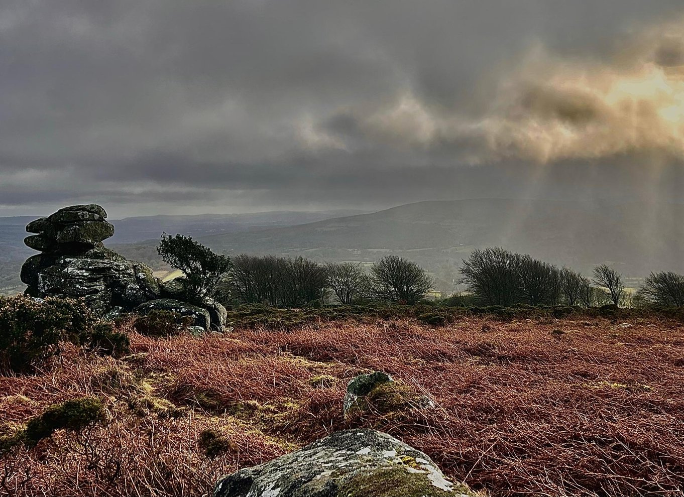 Dartmoor: Guidede byvandringer